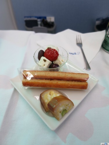 ANA-787-800-Regional-Business-Class-09