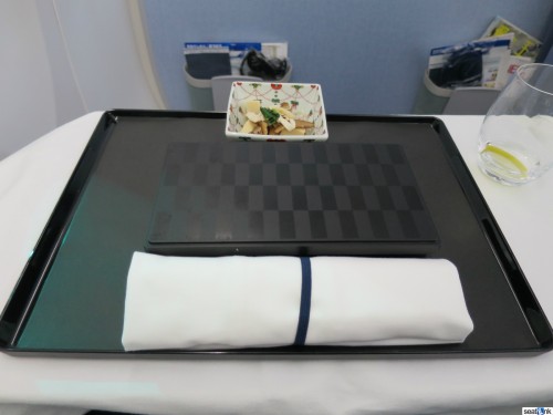 ANA-787-800-Regional-Business-Class-17