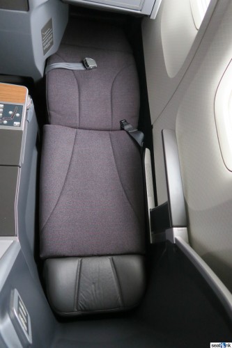 American-Airlines-767-300-Business-Class-001