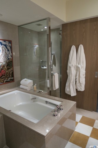 Park-Hyatt-Tokyo-11