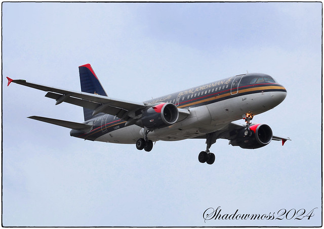 Royal Jordanian Airbus A319 aircraft