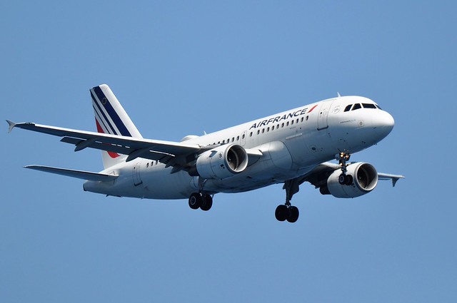 Air France Airbus A319 Domestic V2 aircraft