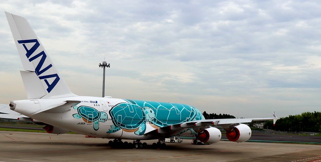 ANA - All Nippon Airways Airbus A380 800 aircraft