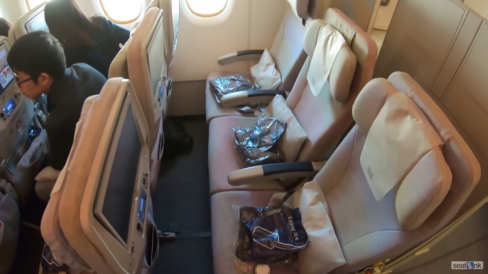 Traveler photo, seat 79K