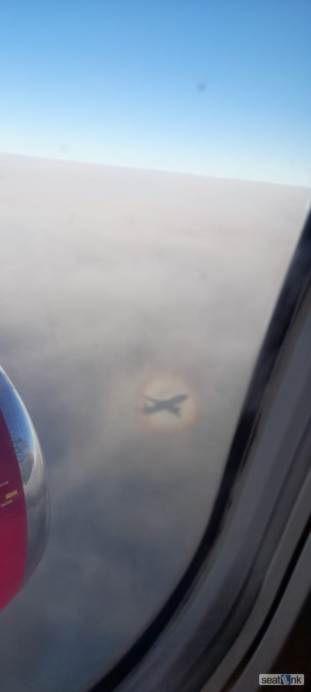 Seat 14A