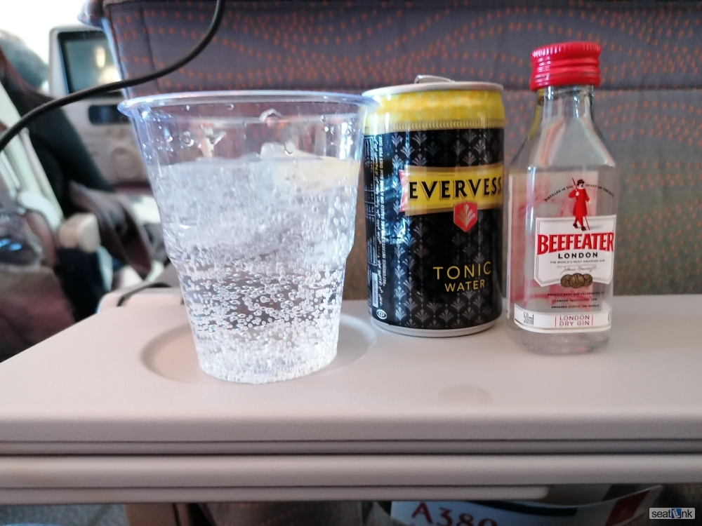 Traveler photo, seat 46D